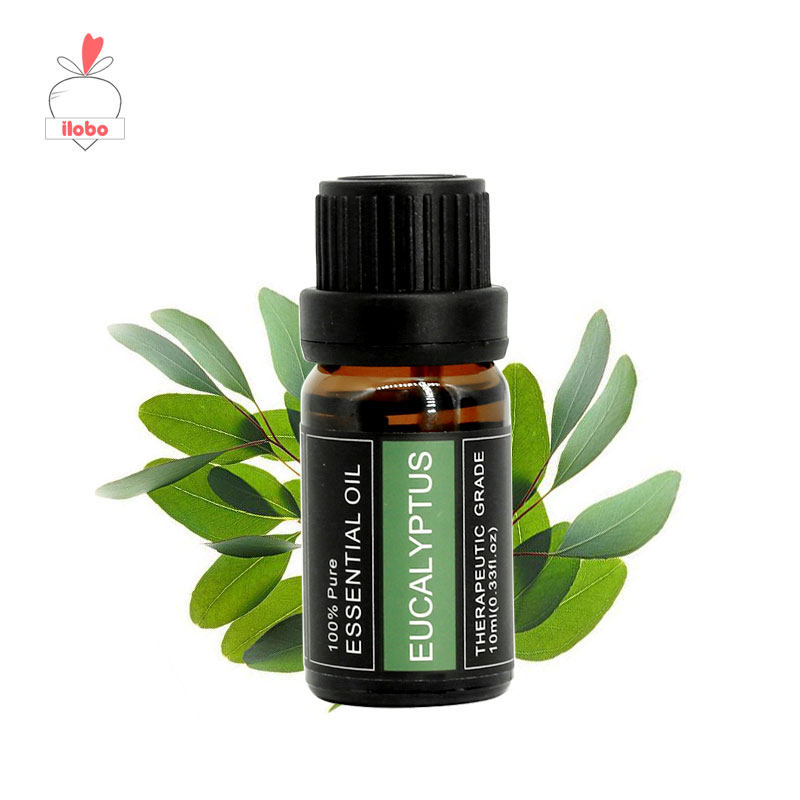 Eucalyptus桉树香薰精油，ilobo加湿器如何提升你的居家生活？-香薰精油-淘宝好物网