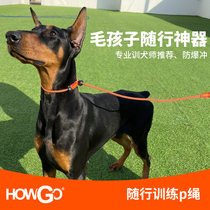 Howgo Dog Leash Dog Leash Dog Leash Dog Leash Small Medium to Large Dog P Chain P Rope Explosion Proof Punch Dog Chain