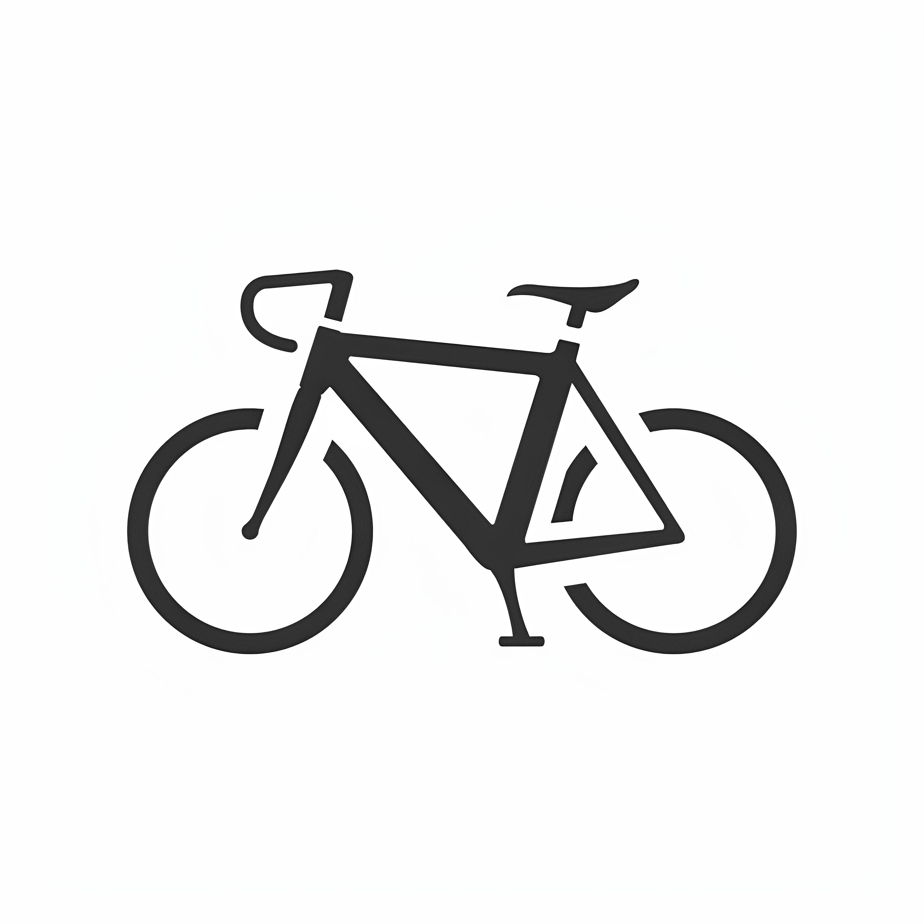 岩野单车