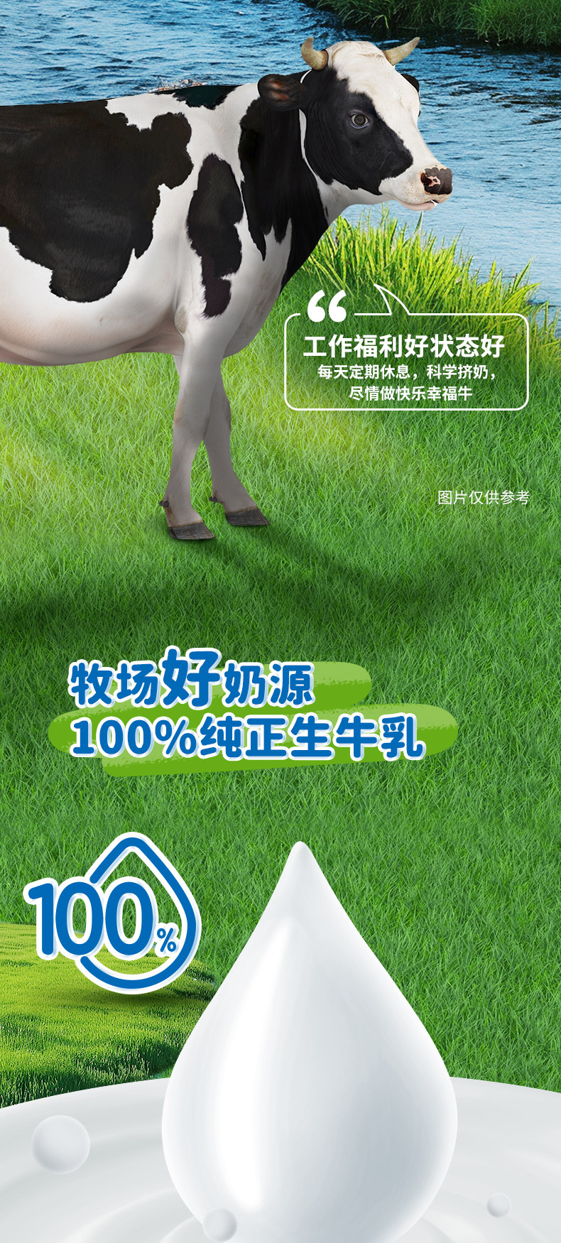 安享好物 安享B级纯奶-优然纯牛奶  国标 