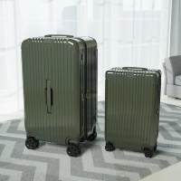 Кактус Зеленый-[Прямая доставка из Сан-Франциско к вам домой]