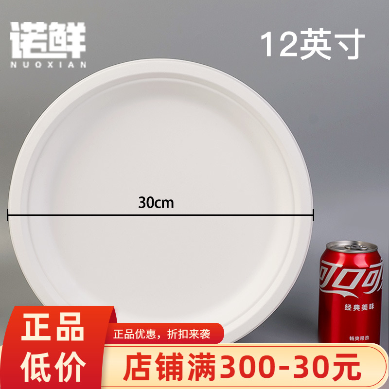 使い捨て紙皿 幼稚園 手作り DIY ペイントケーキ バーベキュープレート 紙皿 大きな紙皿 12インチ