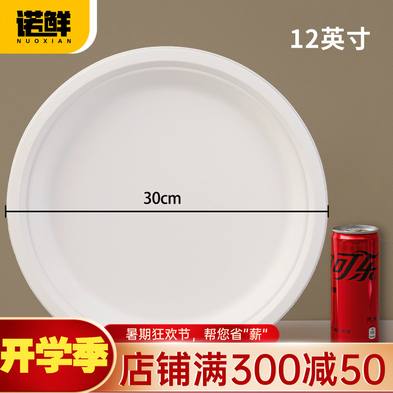 Disposable Paper Plates for Kindergarten DIY Crafts, Painting, Cake, Barbecue, Dinner Plates, Large Paper Plates for Doodling Disposable Paper Plates for Kindergarten DIY Crafts, Painting, Cake, Barbecue, Dinner Plates, Large Paper Plates for Doodling