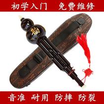 Two-tone gourd elementary school students seven-hole gourd silk down b-tune c-tune professional playing type anti-fall durable beginners