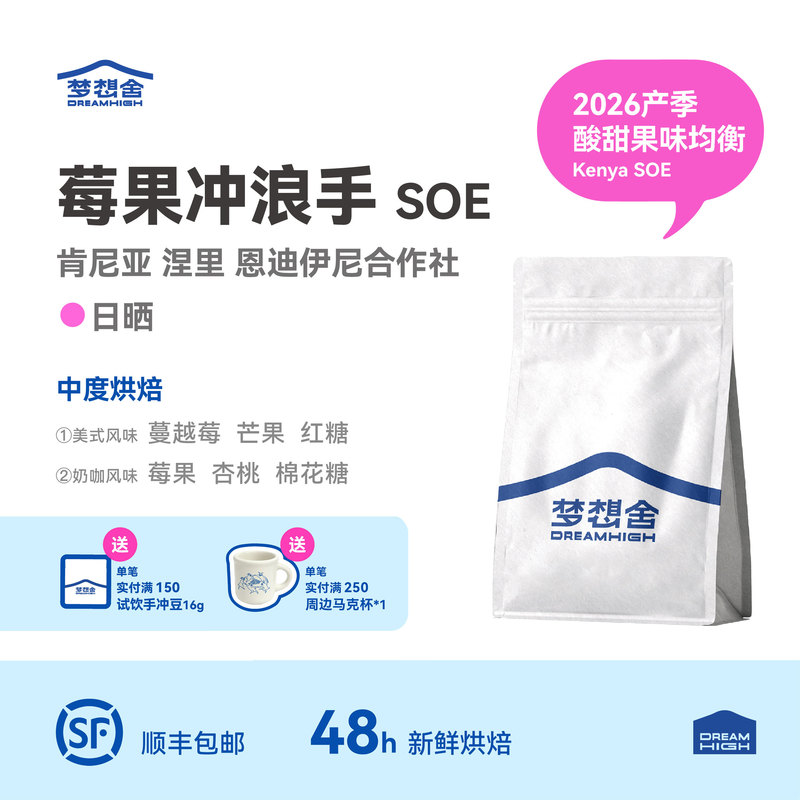 Berry Surfer Soe Dream House 26 Season Kenyan Sun-Dried Endiini Cooperative Italian Coffee Beans