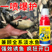 DMPT fish lure agent imported fishing small medicine wild fishing competitive carp crucian carp black pit special explosion protection master