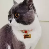 Cat Red Reculting Money -engraved Bone Model