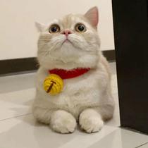 Kitty Neckline Silent Bell Adjustable Dogs Small Canine Handknitted Girdle Collar British Short And Short Pet Neck Ring