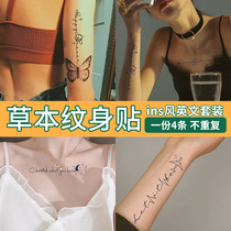 English herbals tattooed with waterproof female persistent semi-permanent letters collarbone advanced sensins Shot girl sexy