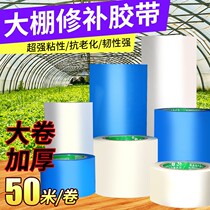 Xinjiang greenhouse film special repair adhesive tape greenhouse adhesive tape greenhouse plastic adhesive tape refilm adhesive tape shed film plus