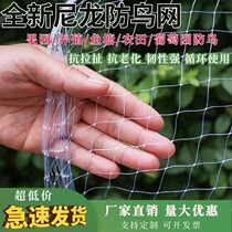 Xinjiang Nylon bird-proof nets white transparent orchard fruit trees bird-proof with nets grapes fish pond cherry trees Xinjiang