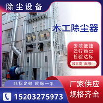 Stand-alone pulse bag dust collector Carbon steel stainless steel woodworking furniture grinder dust motor explosion-proof vacuum cleaner