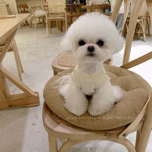 K2Z Studio Spot Оригинальный клейкий милый сливочный кремовый кролик комфорт для домашних животных домога