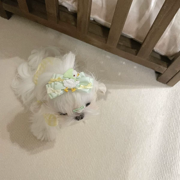 Товары от 蚊子失眠症