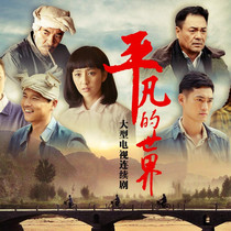 Contemporary rural TV series CD - ROM - ROM DVD discs carrier Wang Leyu Yilia