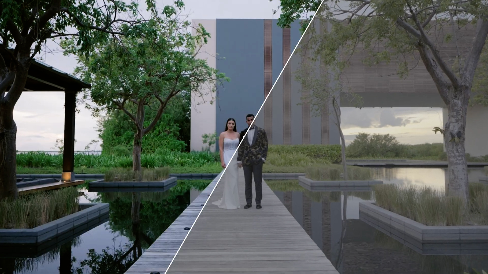 The Luxe LUT Collection by Gamut for How To Film W.jpg