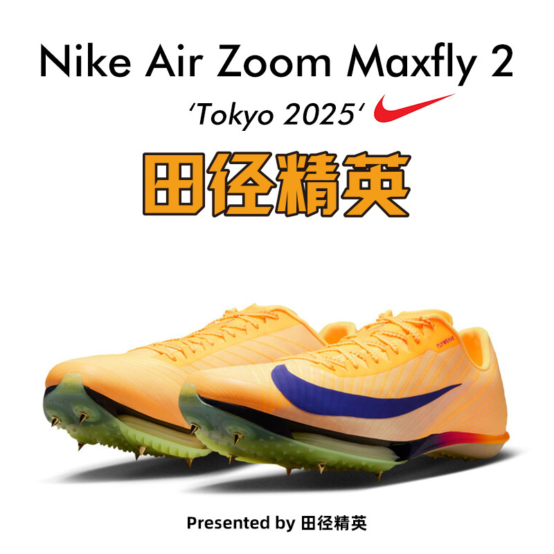 Maxfly 2/FD8395|800
