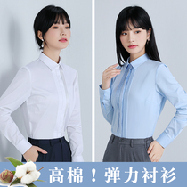 Career Lady Shirt Spring Summer Square Collar White Shirt With Long Sleeve Tooling Do Nt Make Blouses Women Design Sensation Little Korean version of the tide