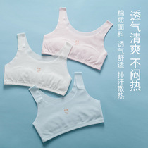 Female students in the development of junior secondary school freely tailored cotton vest underwear girl bra summer vest type 1 2