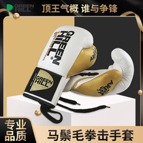 Germany GREENHILL imported ARES leather boxing gloves Muay Thai sanda fighting training sandbag gloves