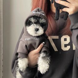 Dog clothes 2025 New arrival autumn Teddy Sherina Small Size Dogs Yorkshire Net Red Dog Trendy Sweatshirt winter