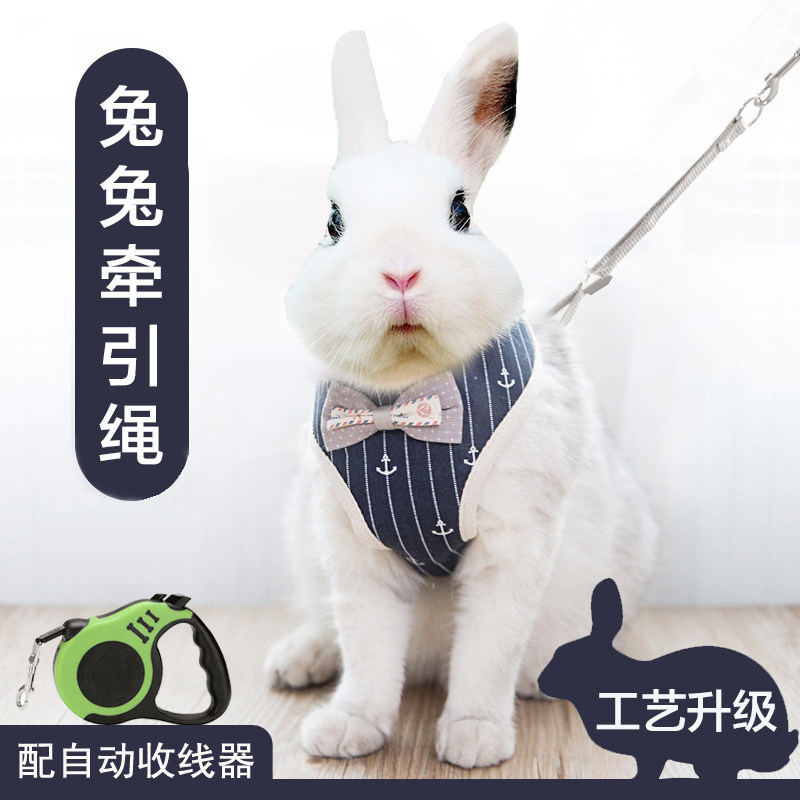 The Rabbit god Rabbit Rabbit Rabbit Rabbit Rope Traction Rope Small Clothes pet Rabbit Rope Anti-Escape Special Bolting Rope Out of Rope