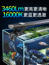 Fish tank light LED light waterproof super bright native stream small tank dedicated full spectrum aquatic plant light aquarium ornamental light