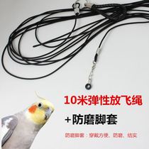Parrot flying slip bird rope does not hurt feet ultra light training rope out flying rope stretching tow rope bird chain supplies