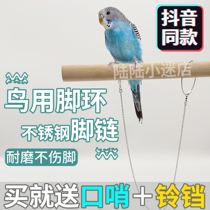 Parrot flying slip bird rope does not hurt feet ultra light training rope out flying rope stretching tow rope bird chain supplies