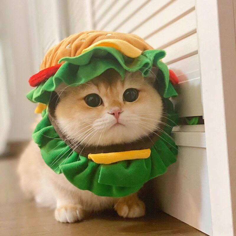 ペットの猫用ハンバーガー型ヘッドギア、犬用帽子、かわいいヘッドウェア、コスチューム写真小道具、小型犬用衣装とアクセサリー