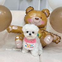 Розовый цветной бархатный нагрудник