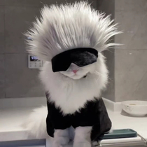 Gojou Satoru pet eye mask supplies cat spell spell battle cos headgear hat decoration headwear photo small dog