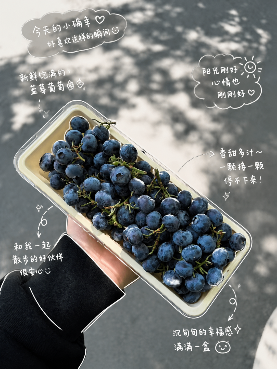 美食元素注解