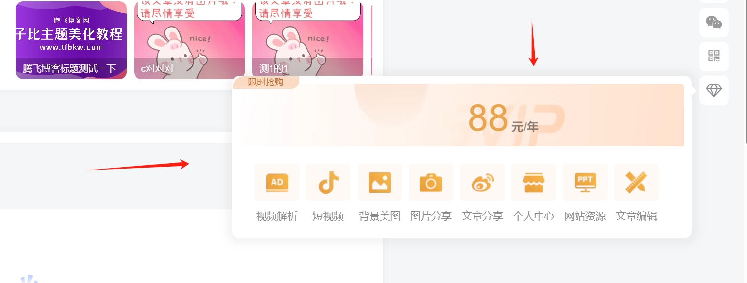 子比主题 - VIP会员介绍悬浮按钮样式