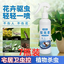 Bellis Shilan House Guwei water emulsion multi-meat potted plant insecticide Bug shell multi-flower Insecticidal Spray (7 bottles)