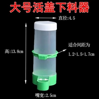 1 Большой Фестер