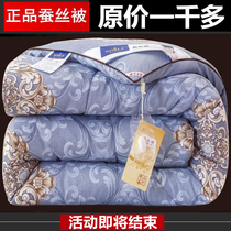 Silk quilt 100 mulberry silk winter quilted by spring autumn quilt thickened warm full cotton single double quilt core air conditioning quilt