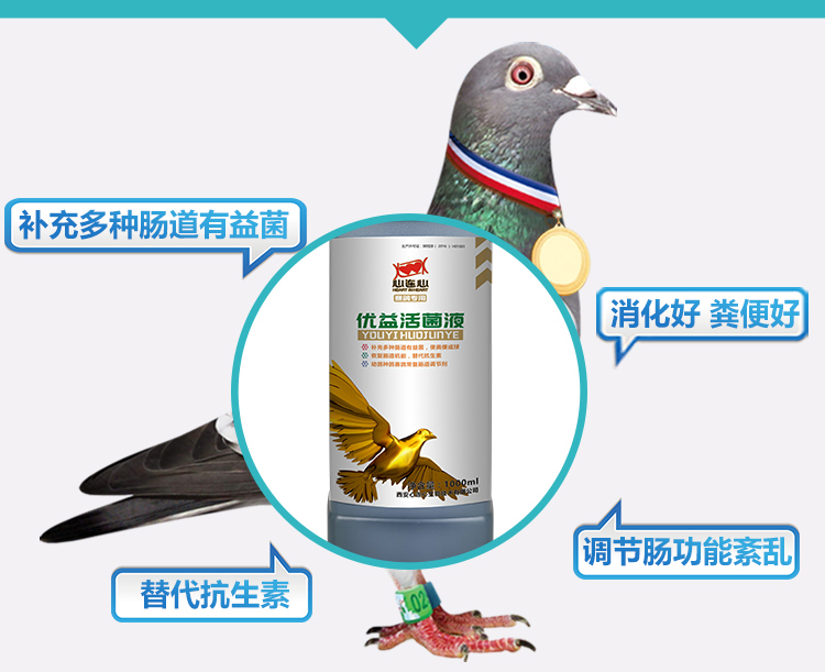 Thuốc trị bệnh từ chim bồ câu từ trái tim đến trái tim, vi khuẩn tuyệt vời và có lợi 1000ml nước màu xanh lá cây sẽ điều tiết thuốc chữa bệnh cho chim bồ câu đường ruột Daquan cạnh tranh - Chim & Chăm sóc chim Supplies long chim chao mao dep