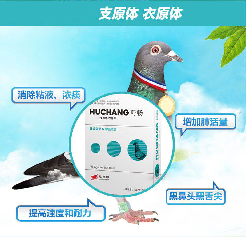 Pigeon thuốc tim và tim làm mới điều trị hô hấp, ngáy, chất nhầy, trắng, ho, thư, chim bồ câu, thuốc - Chim & Chăm sóc chim Supplies lồng vẹt