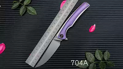 WE KNIFE Outdoor CAMPING CAMPING Portable multi-purpose EDC High HARDNESS POCKET FOLDING KNIFE 704