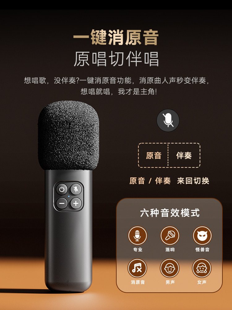 Leduo Karaoke Speaker Microphone All-In-One Bluetooth Speaker Outdoor Ktv Home Wireless Singing Device