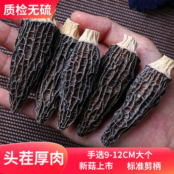 [First Harvest from the Qinghai-Tibet Plateau]Selected Dried Morel Mushrooms, Large Size 5cm or More, Thick Flesh, Excellent Nourishing Product