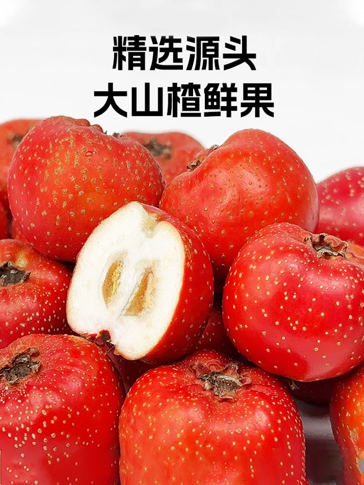 Hawthorn Strips, Tangerine Peel, Blueberry, Mulberry, Healthy, No Additives, Sweet and Sour Snacks, Fresh Fruit, Hollow Hawthorn Cake, Candied Fruit