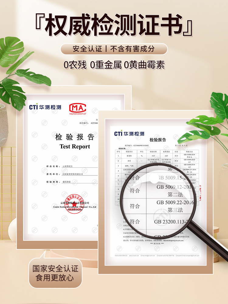 2025 New Crop Yunnan Black Peanuts with Shells, Raw and Cooked Black-Skinned Peanuts, Crispy and Sweet, Grown