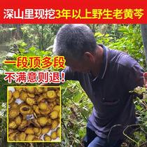 Grandpas deep mountain pure wild skullcap 500g Chinese herbal medicine root tablets Huangqin dried skullcap tea gentian gardenia