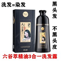 Marchino Six Valley Extraction A Black Shampoo Three-in-one Healthy Black Hair One Wash Black Hair Dye 