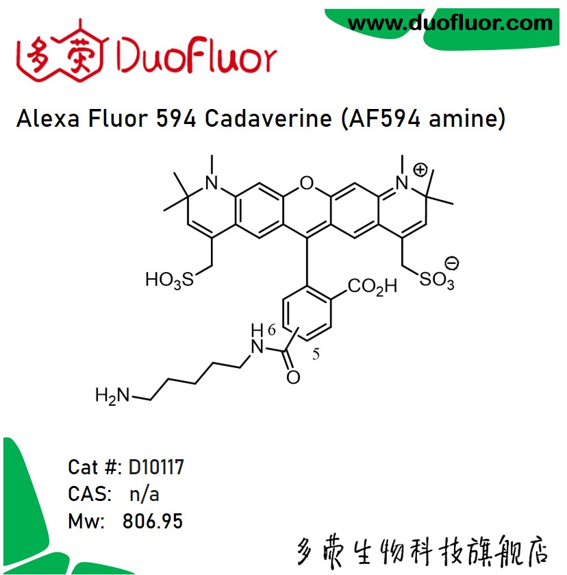 染料AF594 Cadaverine AF594尸胺Alexa Fluor594CadaverineD10117