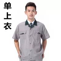 Темно -зеленый воротник с коротким рукавом [одиночное платье] 1675223