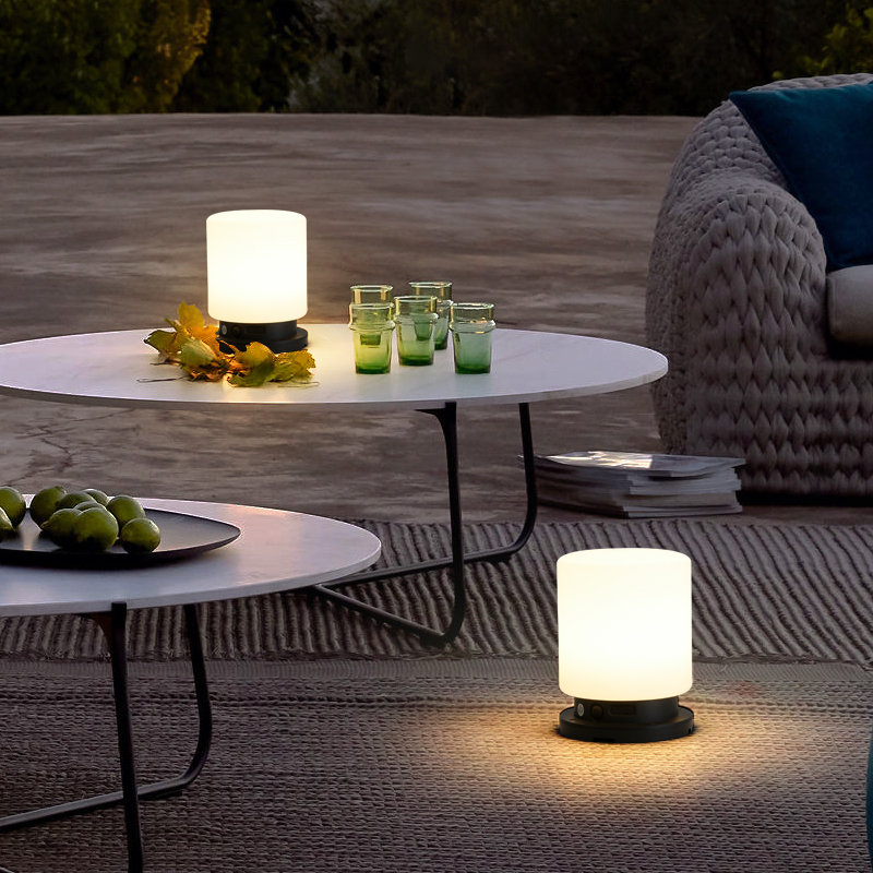 Solar Outdoor Garden Night Light Desktop USB Charging Portable Camping Light Home Interior Decoration Garden Light