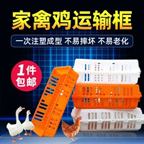 Chicken Cage Turnover Box Forming Chicken Transport Cage Chicken Duck Goose Pigeon Poultry Transport Basket Domestic Thickened Plastic Chicken Cage Rabbit Cage